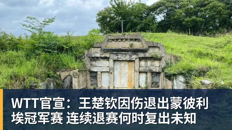 米兰体育WTT官宣：王楚钦因伤退出蒙彼利埃冠军赛 连续退赛何时复出未知